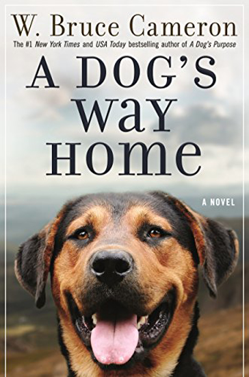 Picture of A Dog's Way Home