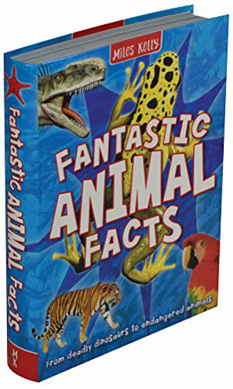 Picture of Fantastic Animal Facts